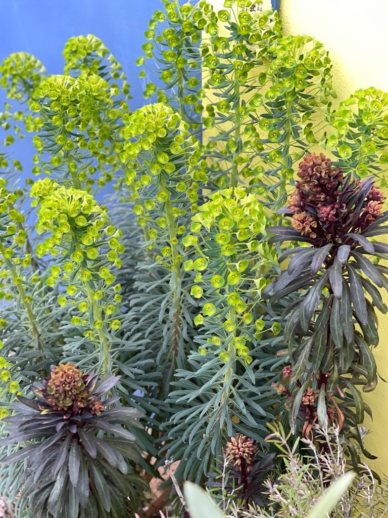 f:id:zappa38:20230329175540j:image