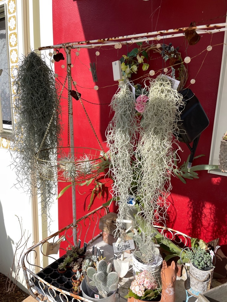 f:id:zappa38:20230329175557j:image