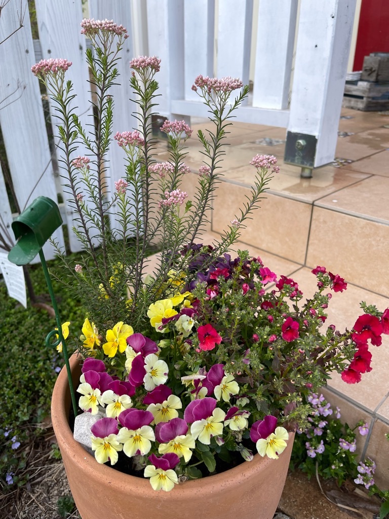 f:id:zappa38:20230329175603j:image