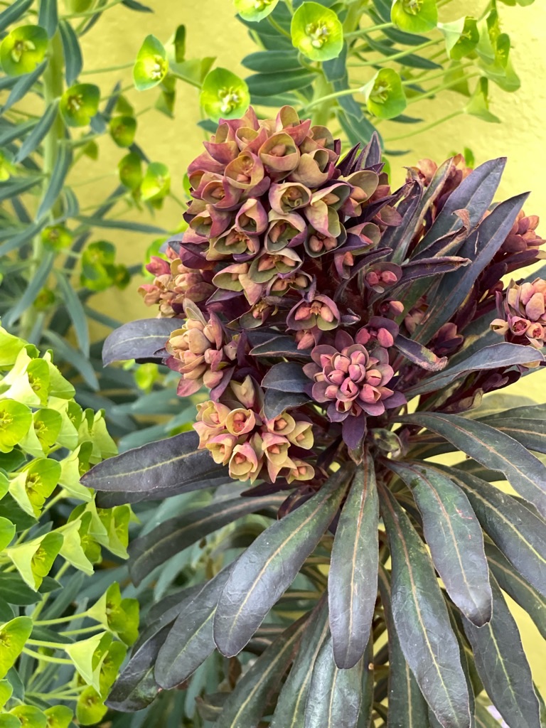 f:id:zappa38:20230329175606j:image