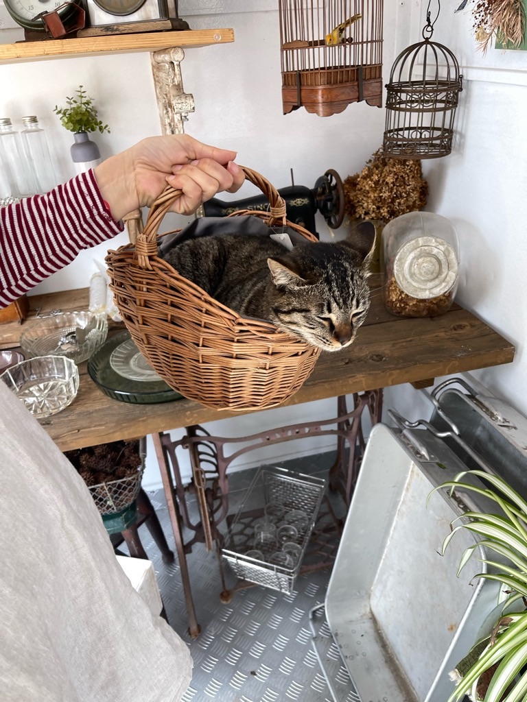 f:id:zappa38:20230402194106j:image