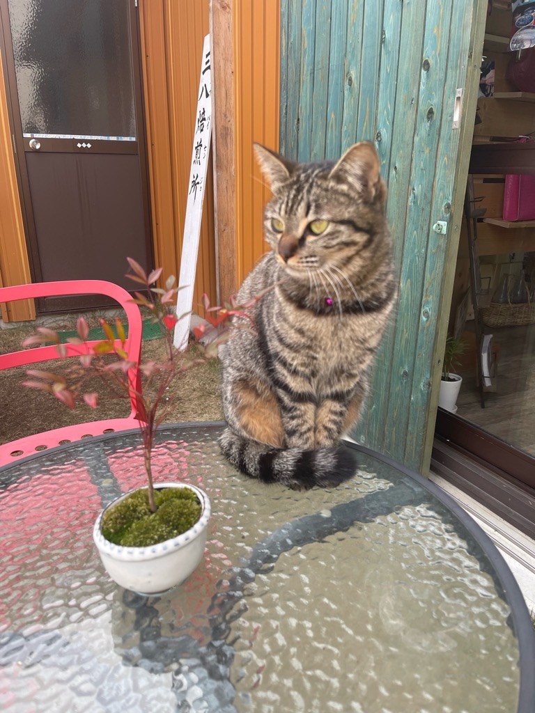 f:id:zappa38:20230402194109j:image