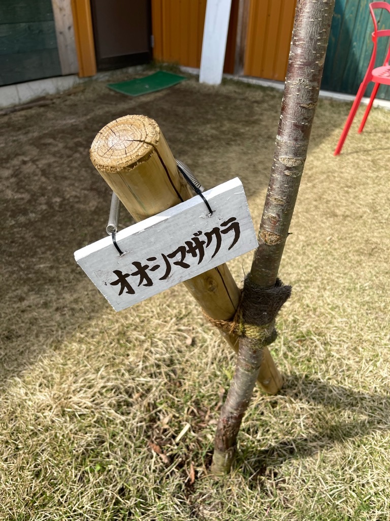 f:id:zappa38:20230402194139j:image