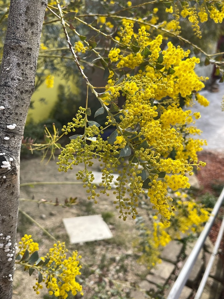 f:id:zappa38:20230402194145j:image