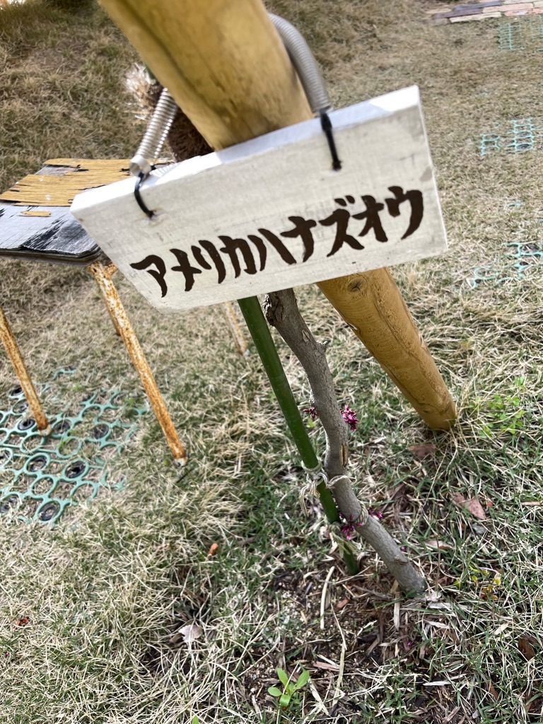 f:id:zappa38:20230402194155j:image