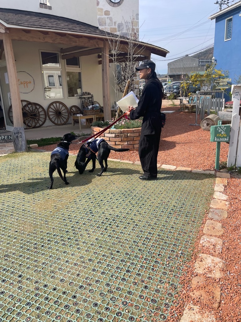 f:id:zappa38:20230402194215j:image