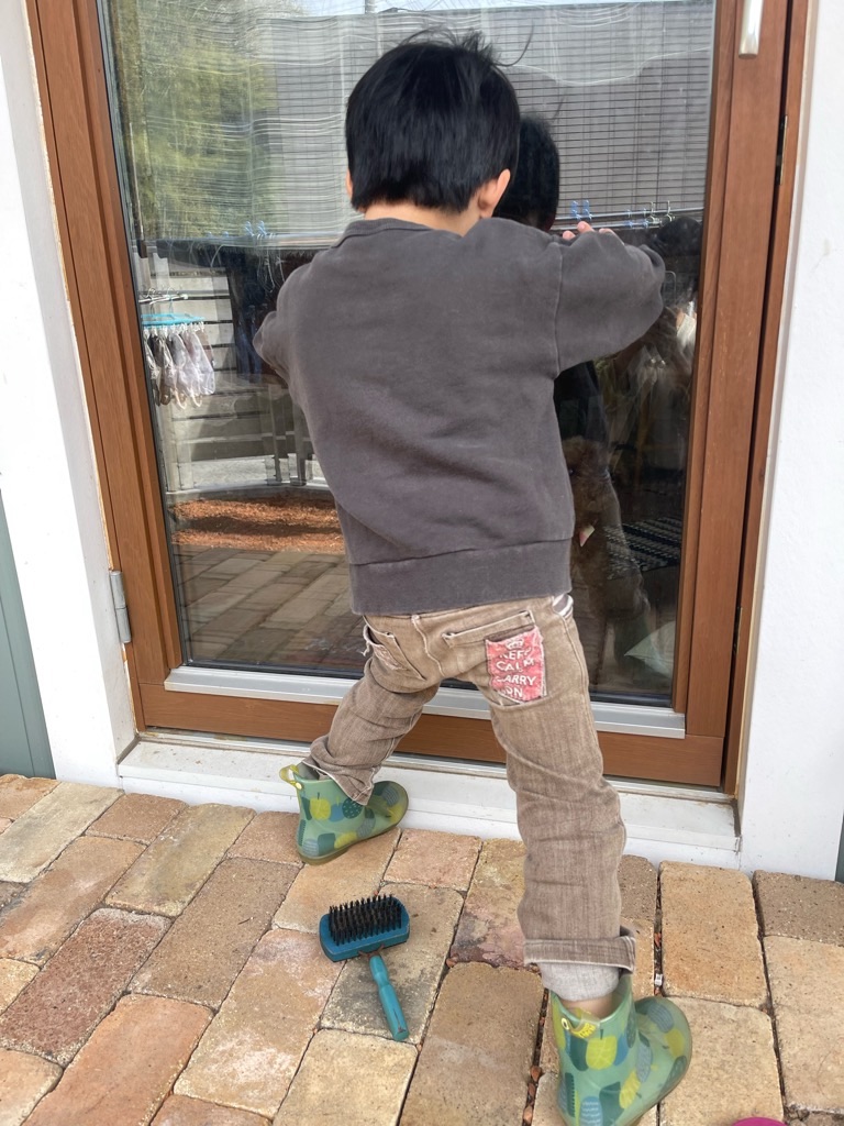 f:id:zappa38:20230402194221j:image