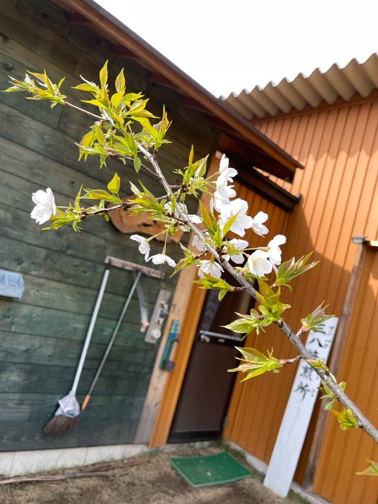 f:id:zappa38:20230402194234j:image