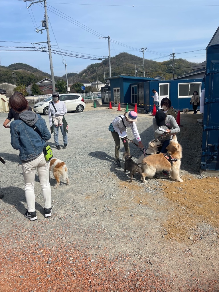 f:id:zappa38:20230402194244j:image