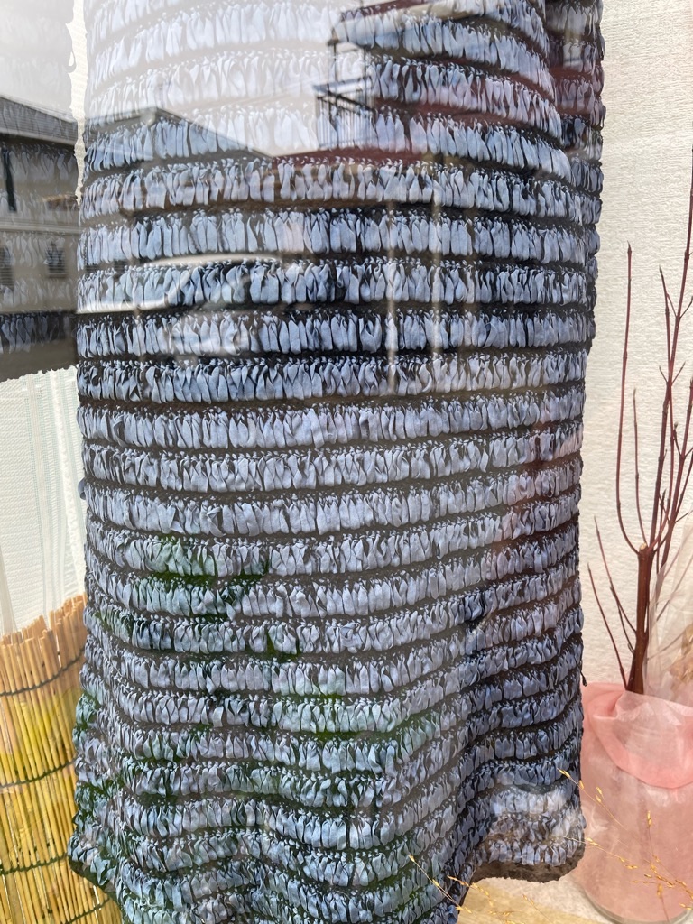 f:id:zappa38:20230405190952j:image f:id:zappa38:20230405190952j:image