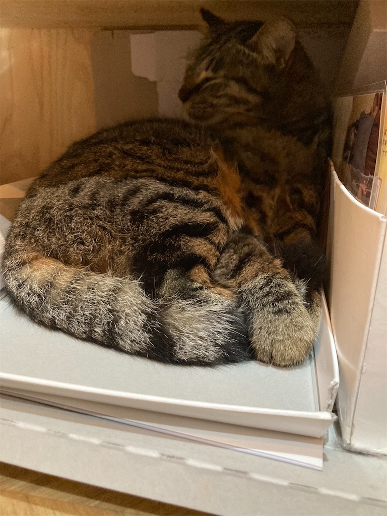 f:id:zappa38:20230408084624j:image