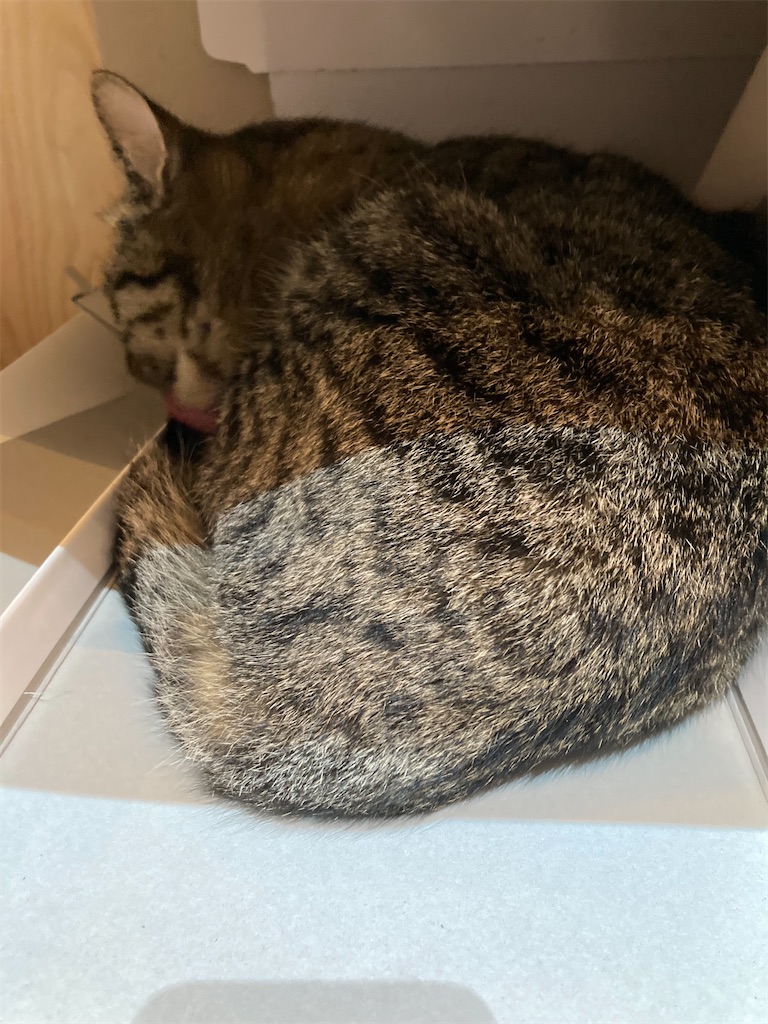 f:id:zappa38:20230408084627j:image