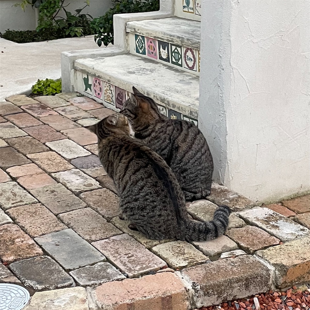 f:id:zappa38:20230409021953j:image