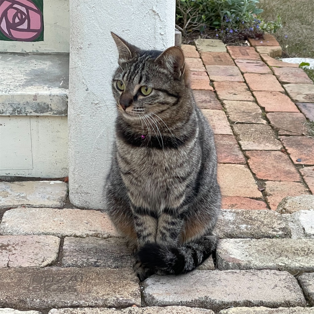 f:id:zappa38:20230409021957j:image