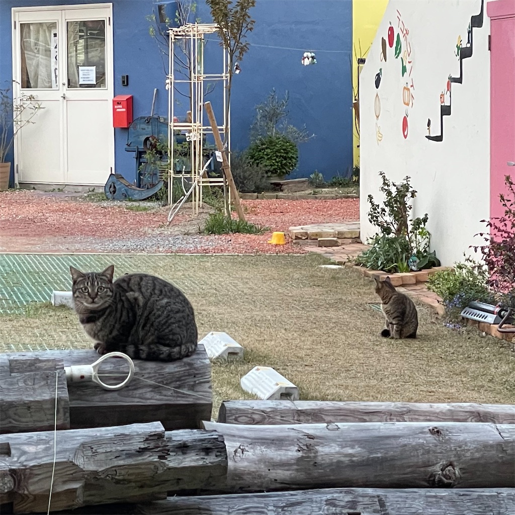 f:id:zappa38:20230409022007j:image