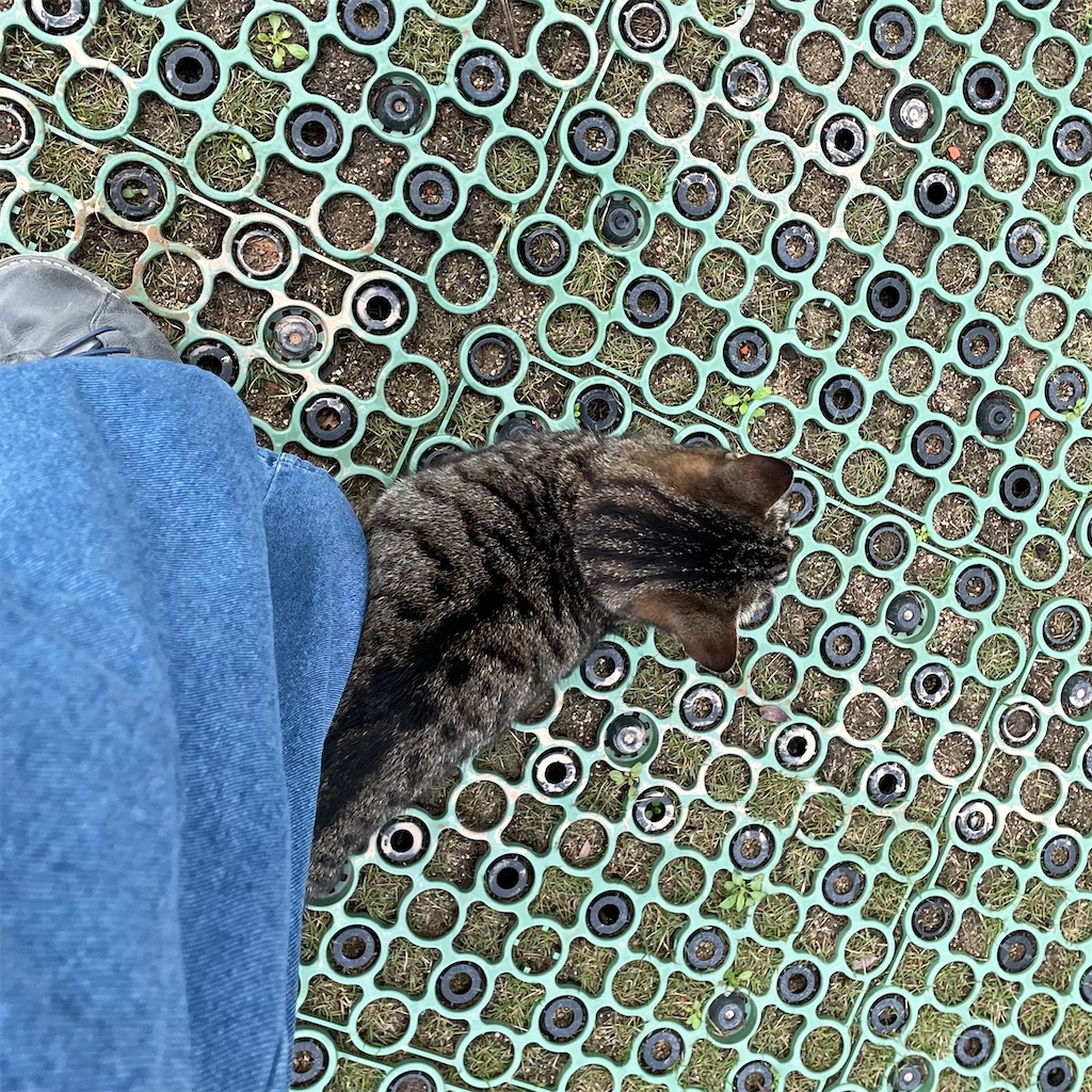 f:id:zappa38:20230409022012j:image