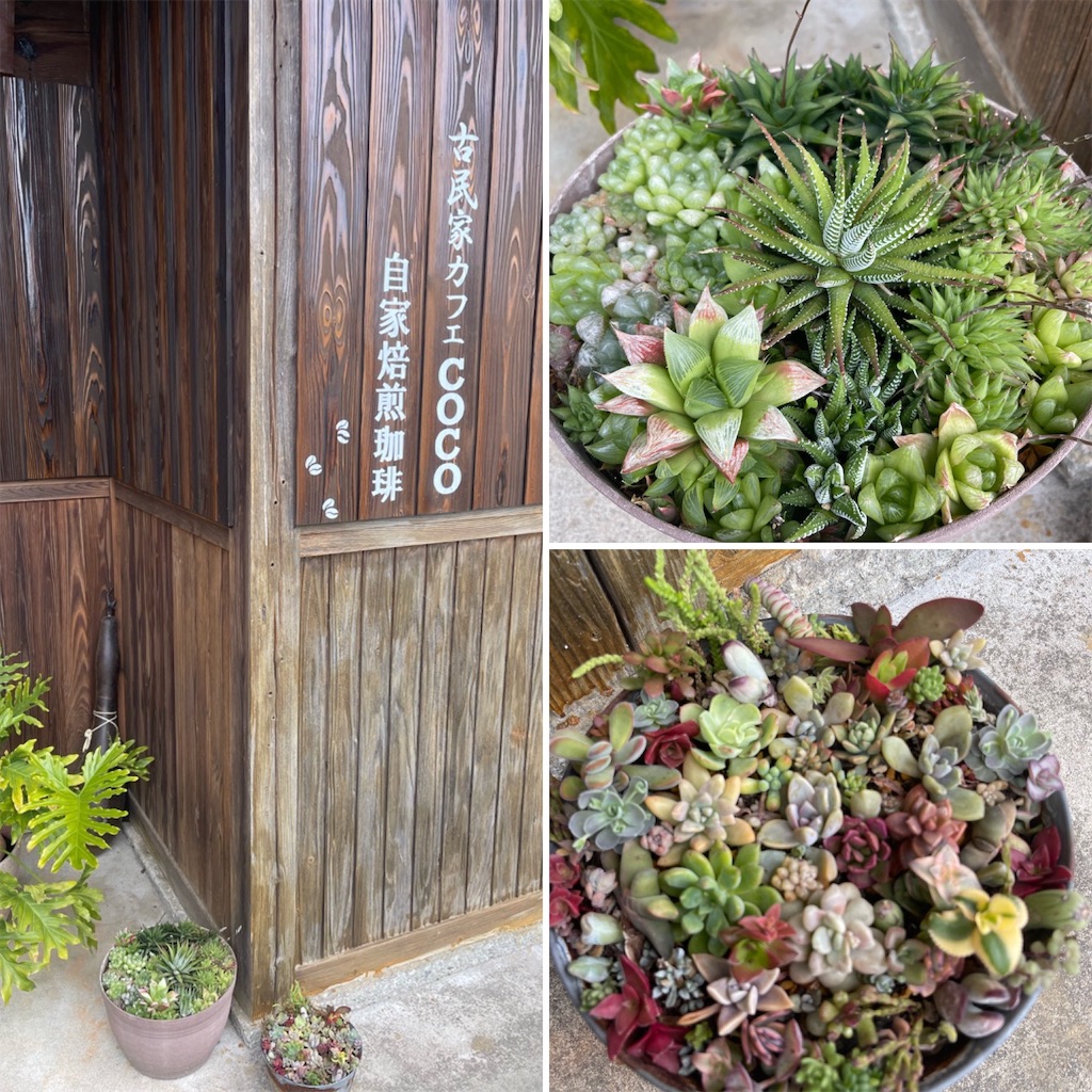 f:id:zappa38:20230411201111j:image