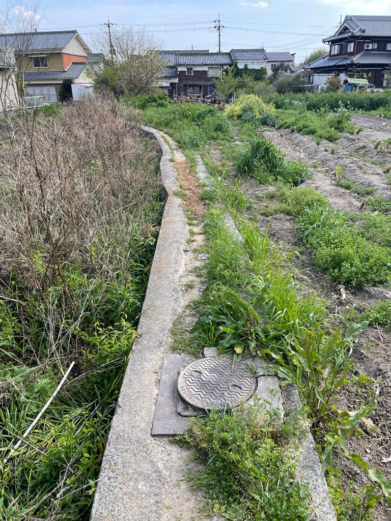 f:id:zappa38:20230411201149j:image