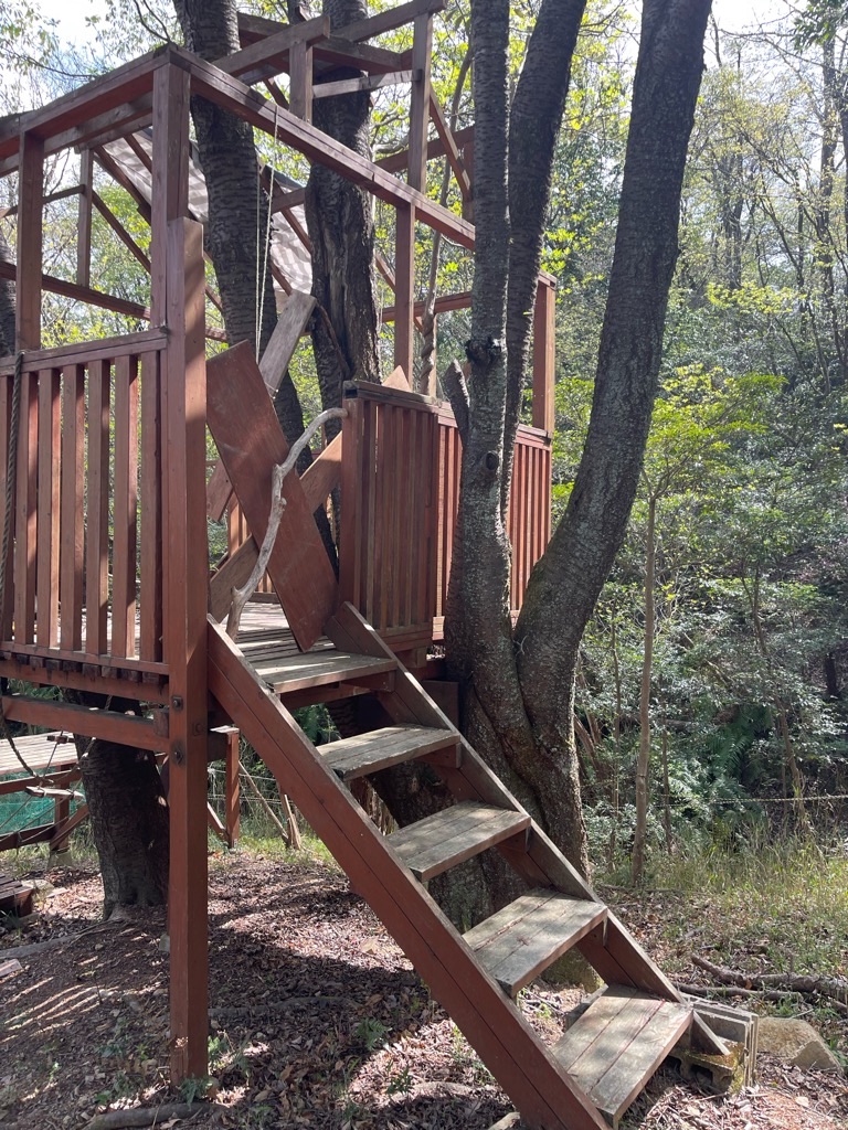 f:id:zappa38:20230411201155j:image