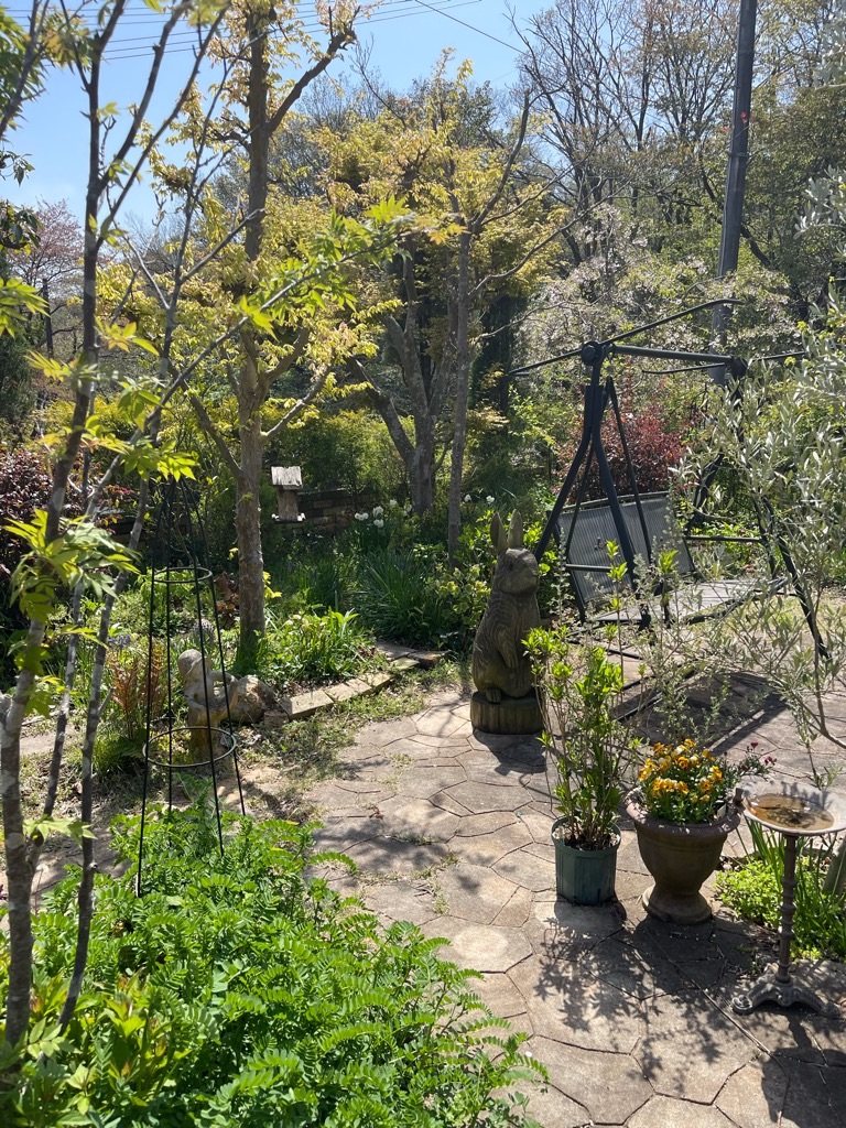 f:id:zappa38:20230411201158j:image