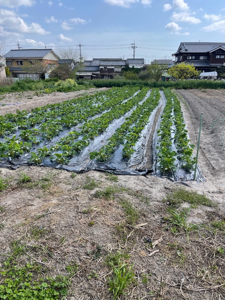 f:id:zappa38:20230411201215j:image