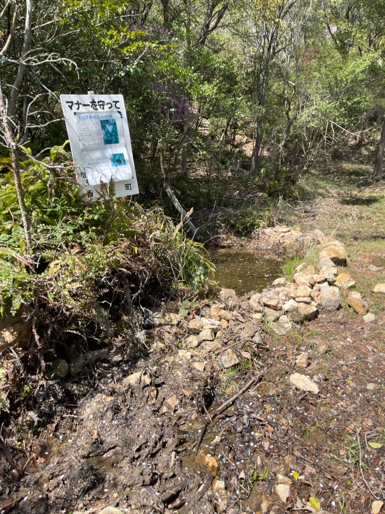 f:id:zappa38:20230411201241j:image