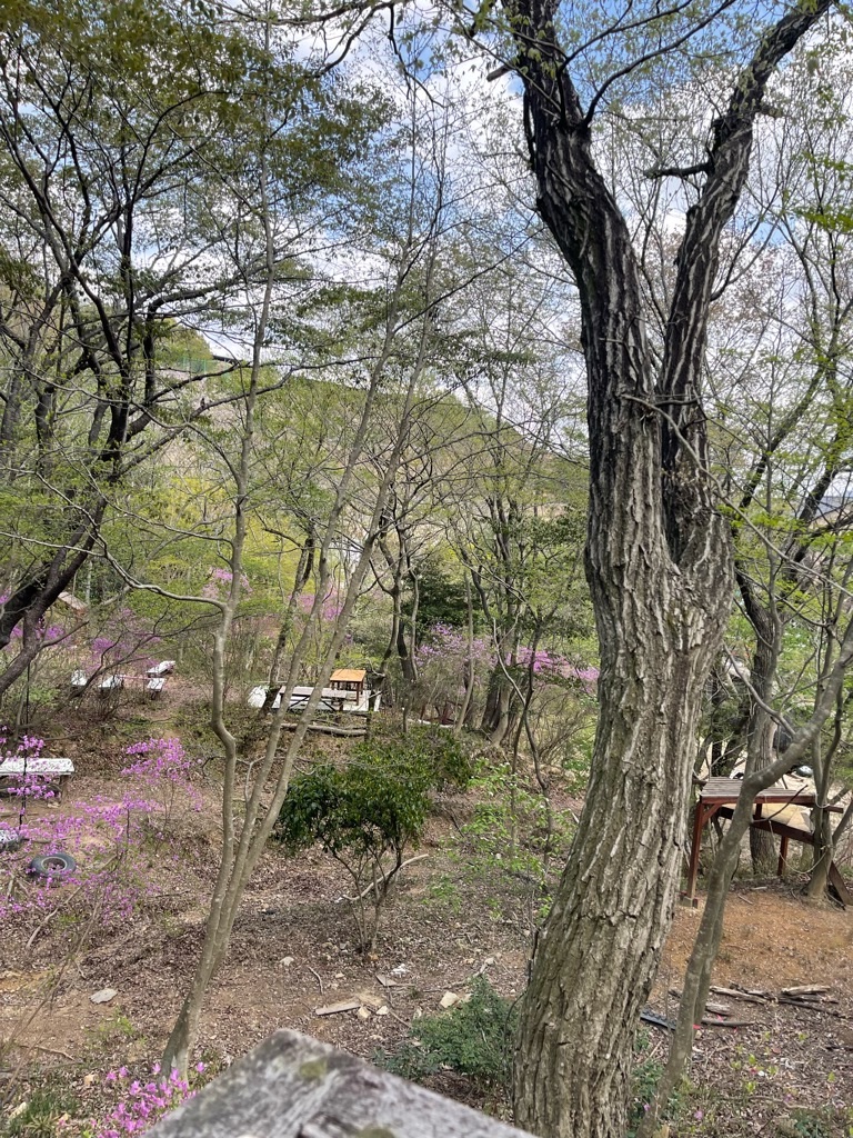 f:id:zappa38:20230411201245j:image