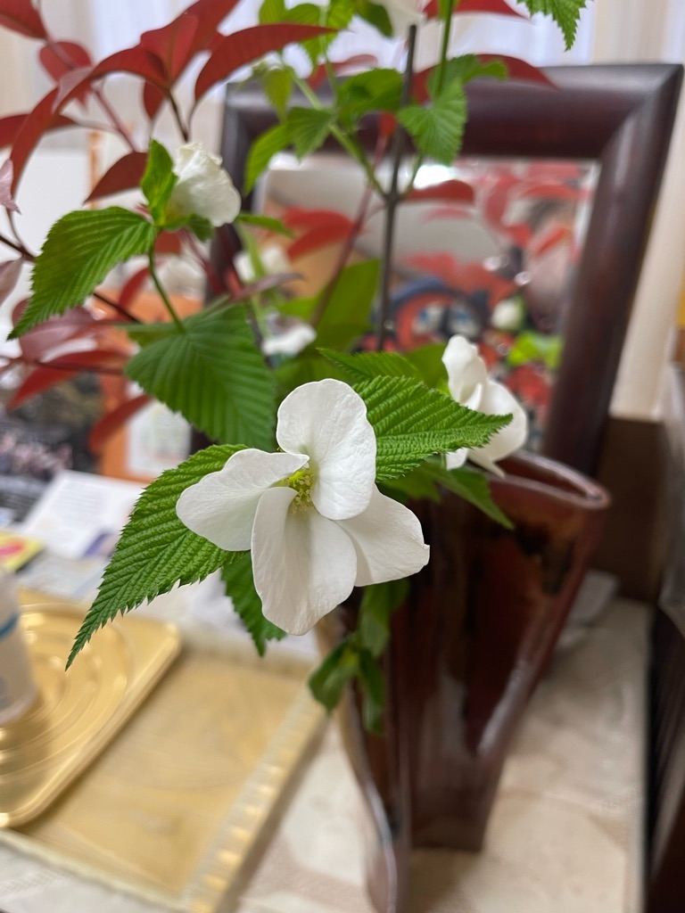 f:id:zappa38:20230412193010j:image f:id:zappa38:20230412193010j:image