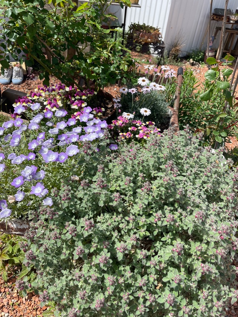 f:id:zappa38:20230414192518j:image