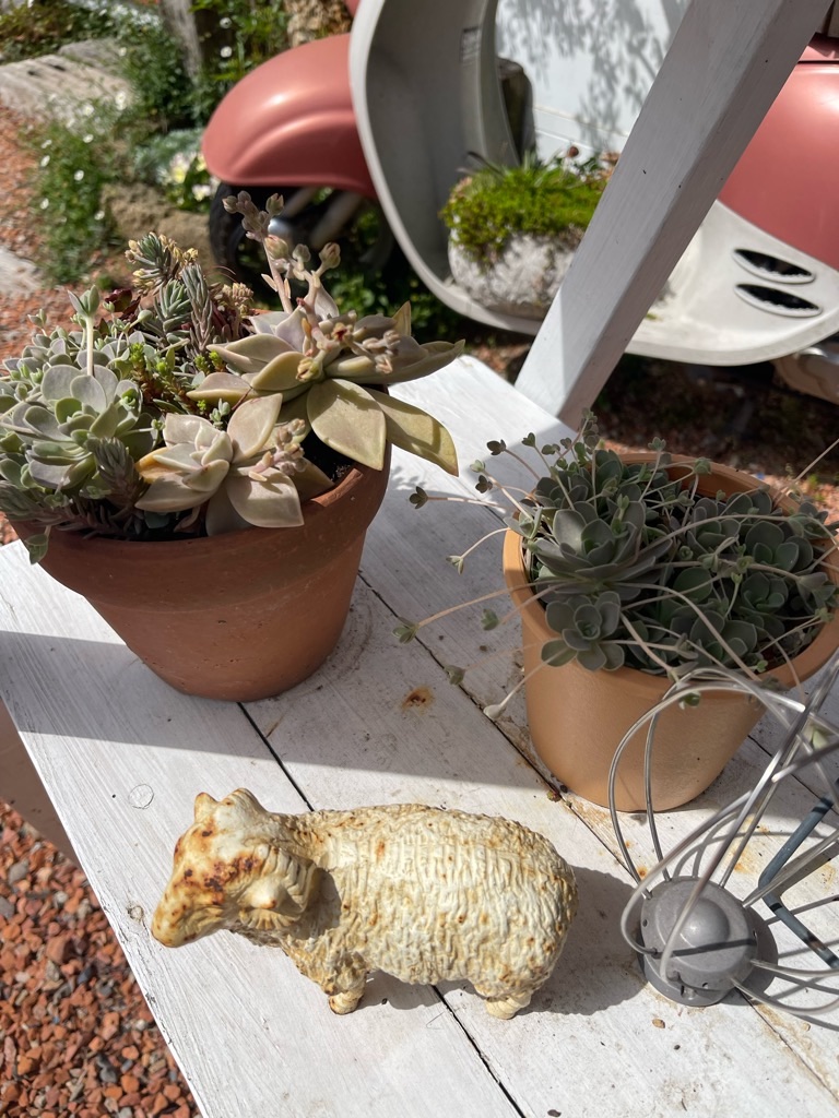 f:id:zappa38:20230414192524j:image