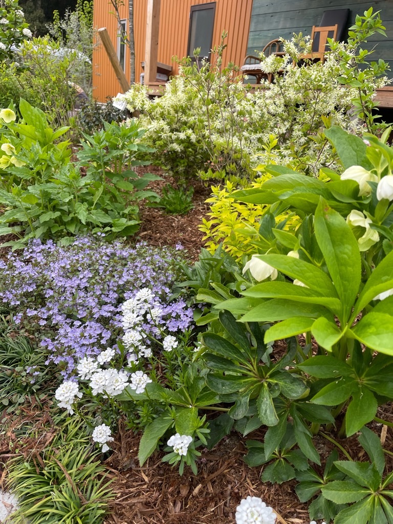 f:id:zappa38:20230414192527j:image