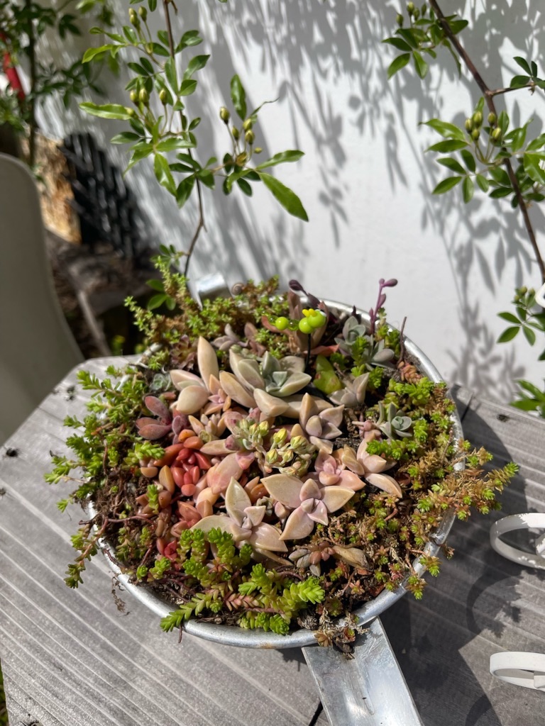 f:id:zappa38:20230414192534j:image