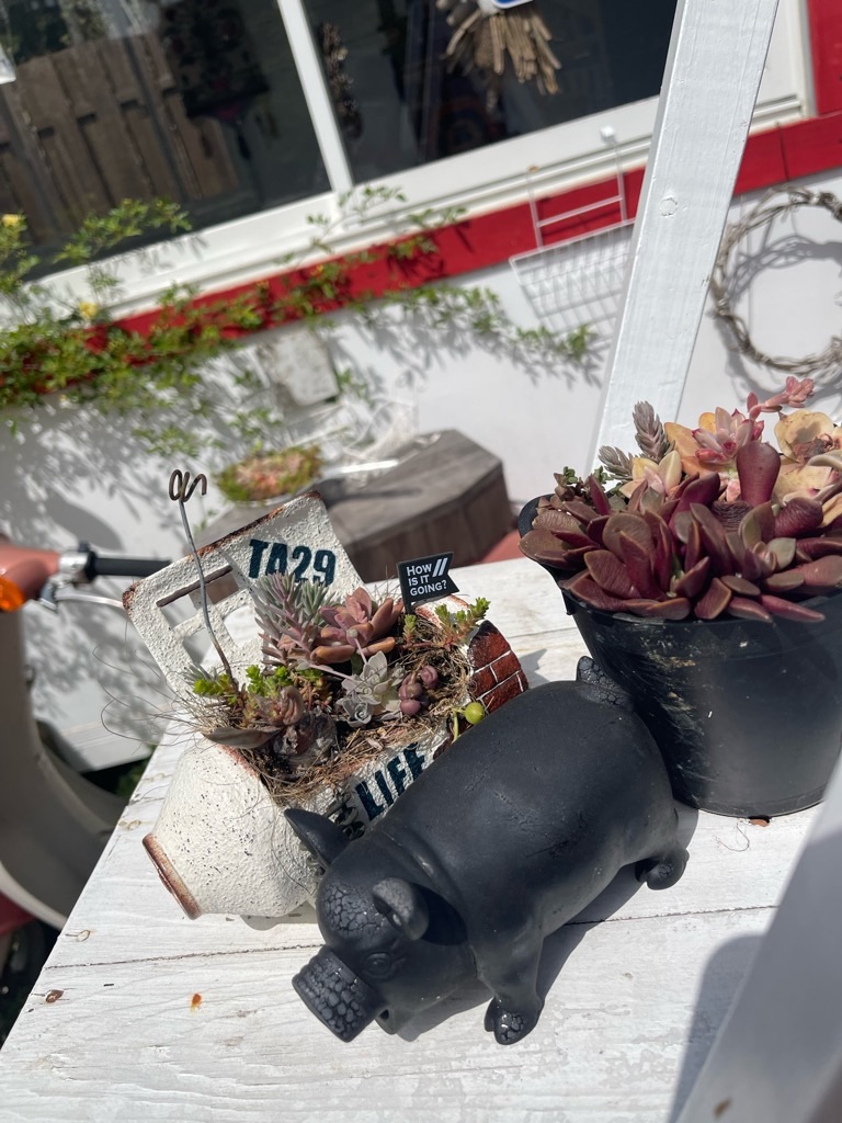 f:id:zappa38:20230414192540j:image