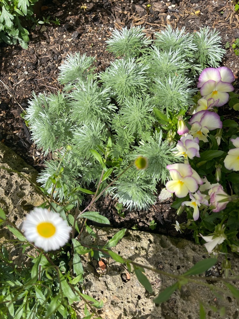 f:id:zappa38:20230414192550j:image