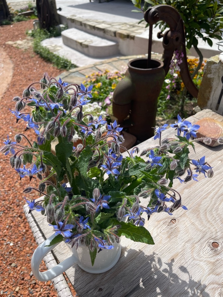 f:id:zappa38:20230414192604j:image