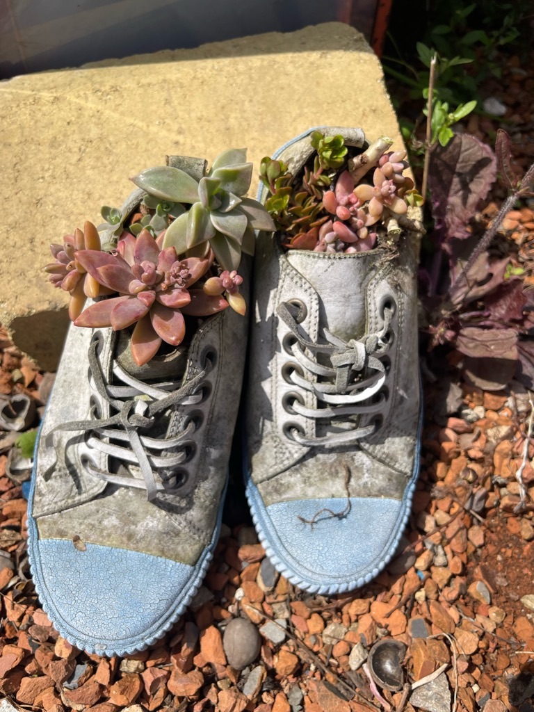 f:id:zappa38:20230414192607j:image