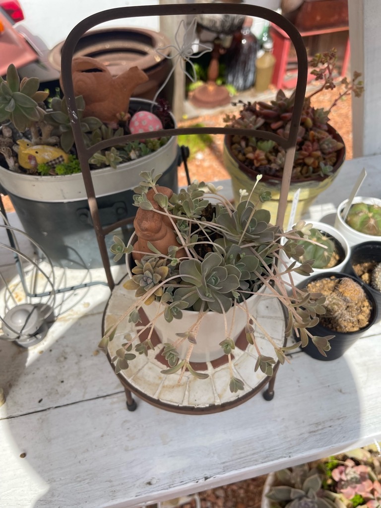 f:id:zappa38:20230414192613j:image