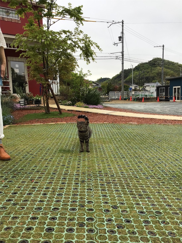 f:id:zappa38:20230415164013j:image