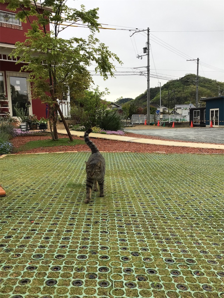 f:id:zappa38:20230415164020j:image