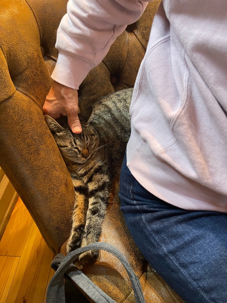 f:id:zappa38:20230415185901j:image f:id:zappa38:20230415185901j:image