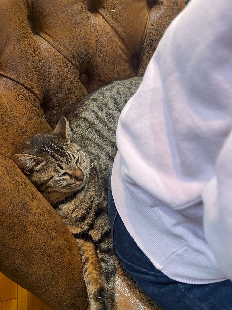 f:id:zappa38:20230415190035j:image f:id:zappa38:20230415190035j:image