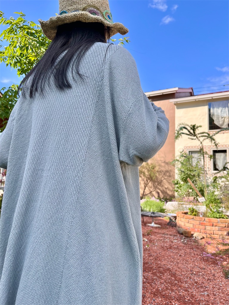 f:id:zappa38:20230516212518j:image