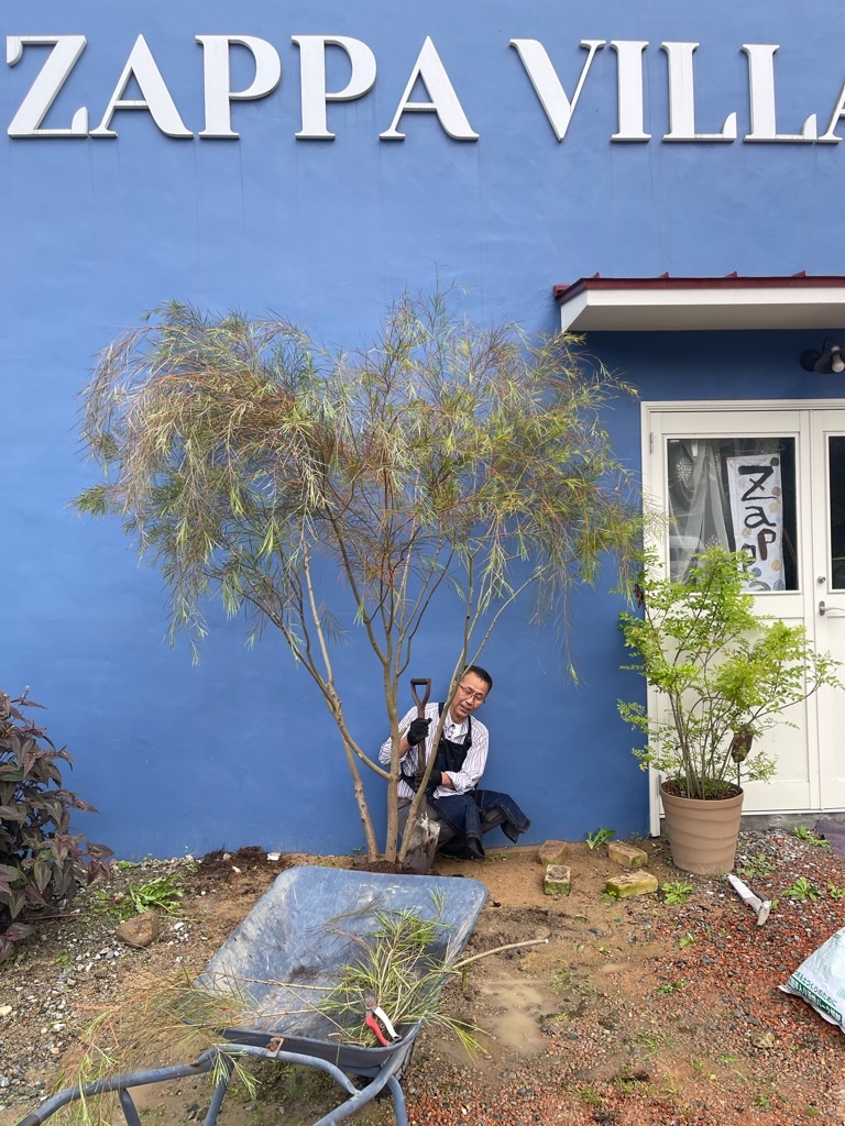 f:id:zappa38:20230519200205j:image f:id:zappa38:20230519200205j:image