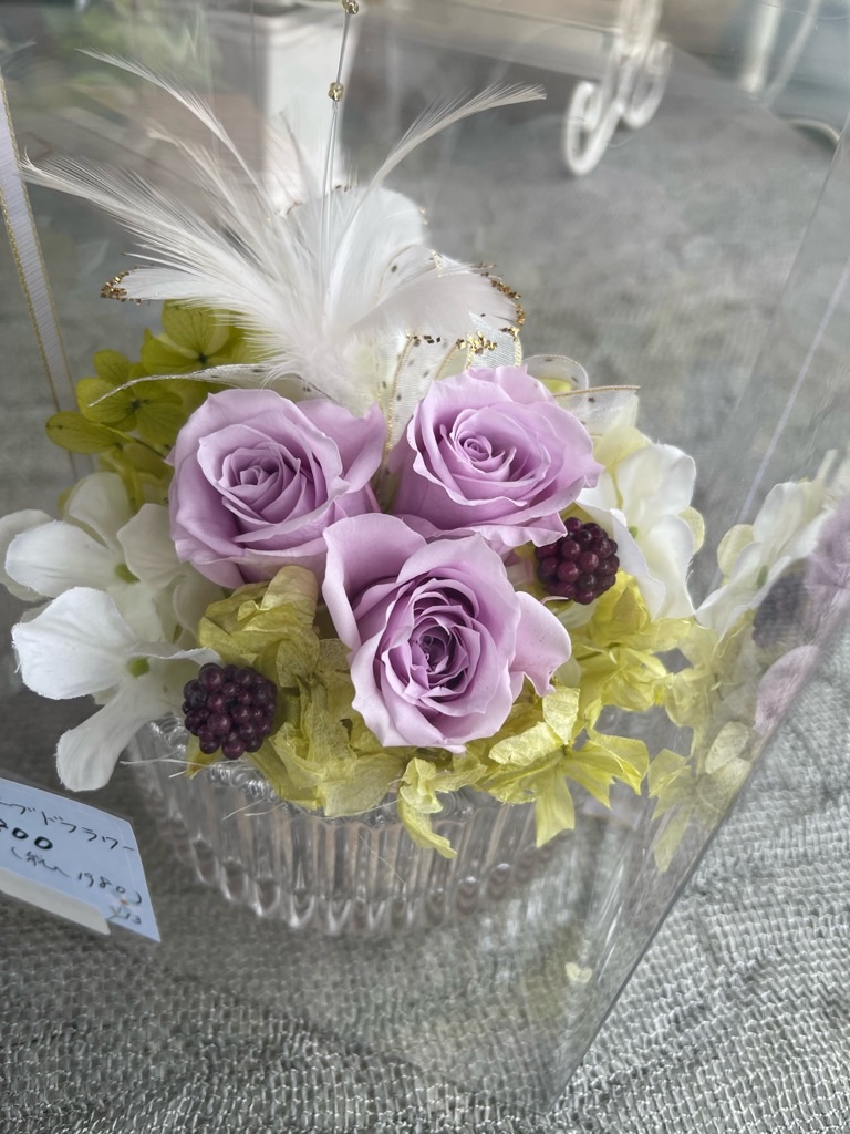 f:id:zappa38:20230519200215j:image f:id:zappa38:20230519200215j:image