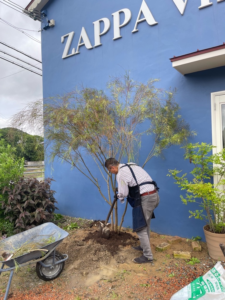 f:id:zappa38:20230519200253j:image f:id:zappa38:20230519200253j:image