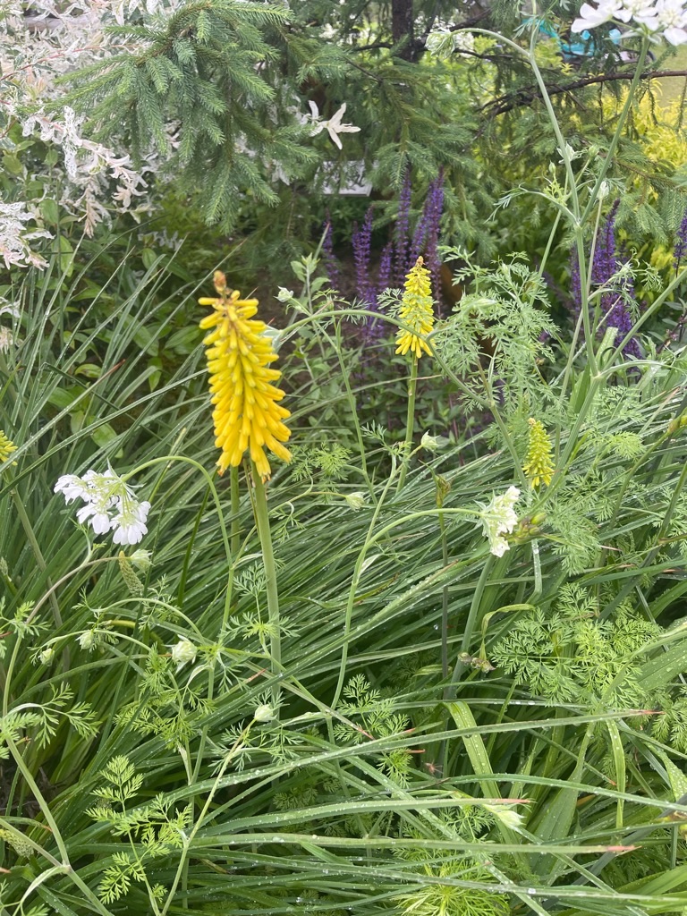 f:id:zappa38:20230519200319j:image f:id:zappa38:20230519200319j:image