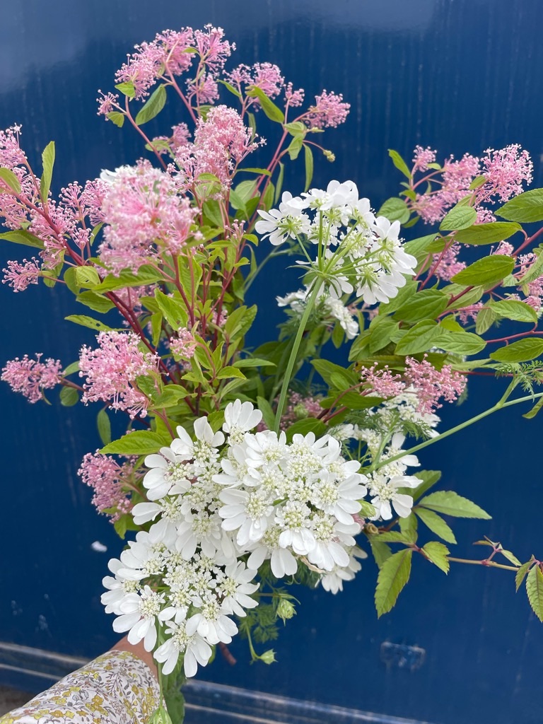 f:id:zappa38:20230519200326j:image f:id:zappa38:20230519200326j:image