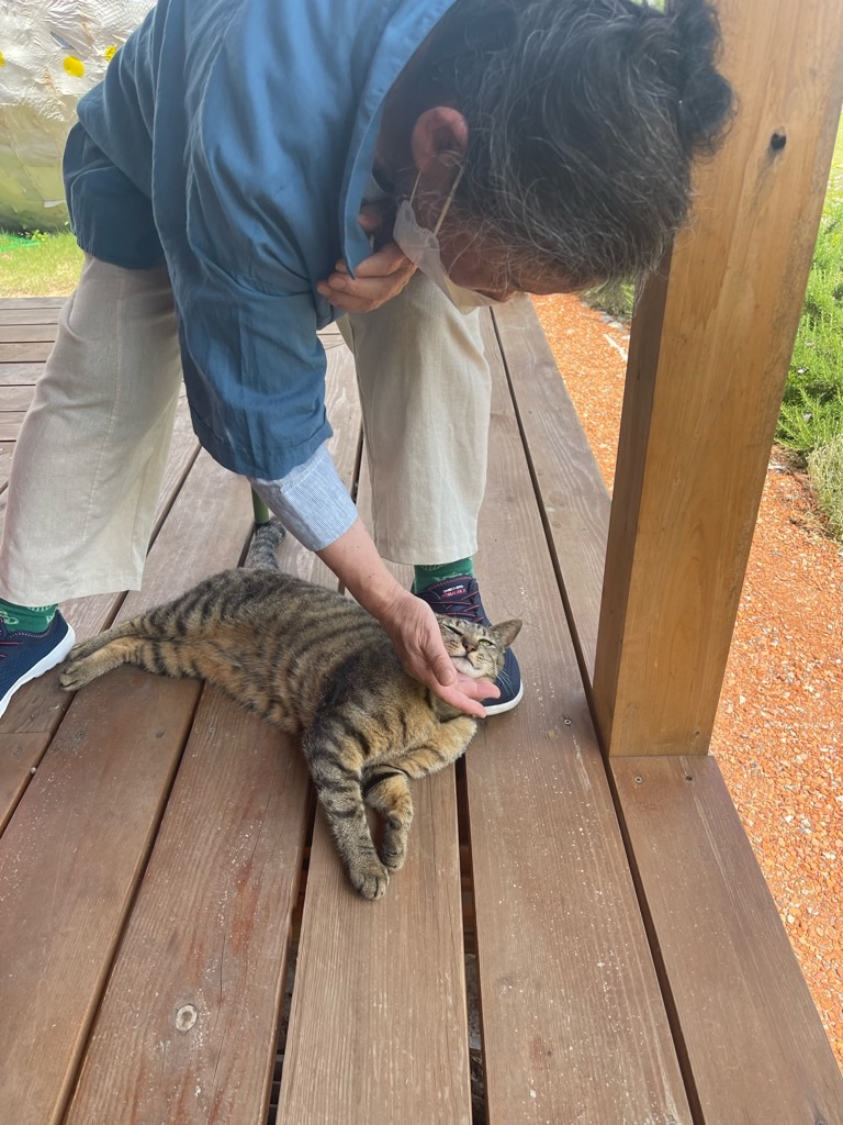 f:id:zappa38:20230527203213j:image