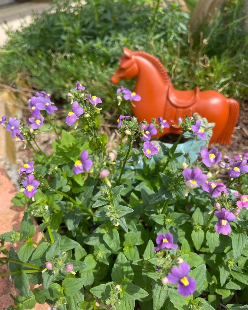 f:id:zappa38:20230527203225j:image