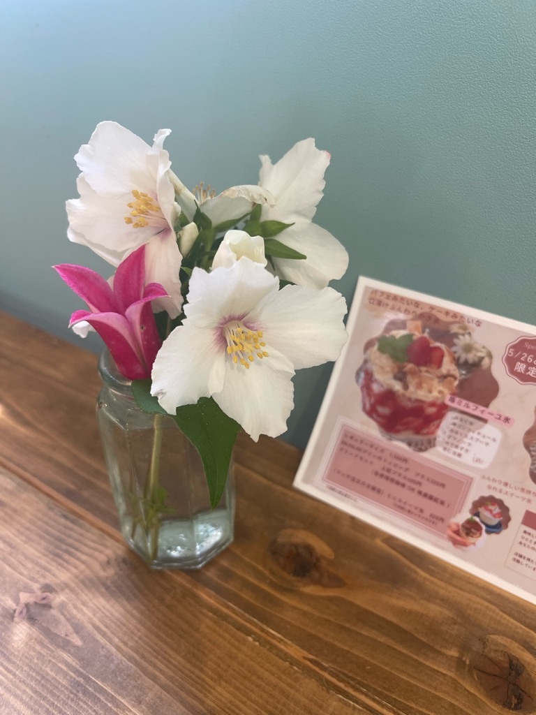 f:id:zappa38:20230527203228j:image